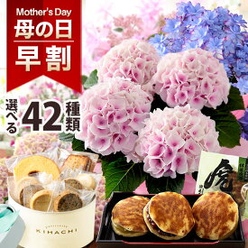 早割実施中！【7種の有名スイーツから選べるセット】母の日 プレゼント 花 ギフト 花とスイーツ セット 鉢植え アジサイ バラ お菓子 キハチ 文明堂 メッセージカード付き ははの日 イベントギフトL 2026 BunBun!Bee