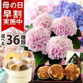 早割実施中！ 母の日 プレゼント 花 ギフト 花とスイーツ セット 鉢植え アジサイ バラ お菓子 虎屋本舗 パティスリー キハチ 文明堂 なだ万 くまモナカ堂 送料無料 メッセージカード付き イベントギフトL 2024