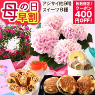 【400円OFF！楽天市場クーポン】早割 母の日 母の日ギフト プレゼント 花 ギフト 花とスイーツ セット 母…