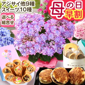 【最大150円OFF！楽天市場クーポン】早割 母の日 母の日ギフト プレゼント 花 ギフト 花とスイーツ セット 母の日ギフト2026 鉢植え アジサイ バラ お菓子 キハチ 文明堂 メッセージカード付き ははの日 イベントギフトL 2026 BunBun!Bee