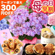 まもなく値上がり！【300円OFFクーポン】早割 母の日 母の日ギフト プレゼント 花 ギフト 花とスイーツ …