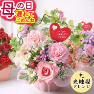 遅れてごめんね！【100円OFFクーポン】 母の日 母の日ギフト プレゼント 花 ギフト 光触媒アレンジ 光触…