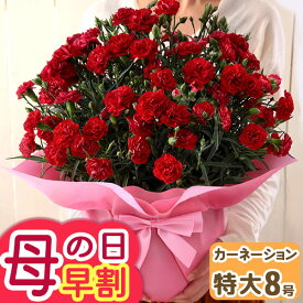 【クーポンで100円OFF】早割実施中！ 母の日 プレゼント 花 ギフト 大きい 鉢植え 特大サイズ カーネーション 8号 赤 レッド ピンク 花鉢 鉢花 送料無料 メッセージカード付き 大きい ははの日 イベントギフトS 2026 BunBun!Bee