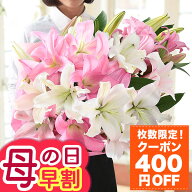 【400円OFF！楽天市場クーポン】早割 母の日 母の日ギフト プレゼント 花 ギフト 花束 ブーケ オリエンタ…