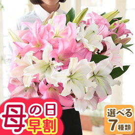 早割実施中！ 母の日 プレゼント 花 ギフト 花束 ブーケ オリエンタルリリー アレンジ ローズリリー ユリ ゆり 百合 アレンジメント メッセージカード付 大きい ははの日 イベントギフトO 2026 BunBun!Bee