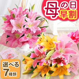 早割実施中！ 母の日 プレゼント 花 ギフト 花束 ブーケ オリエンタルリリー アレンジ ローズリリー ユリ ゆり 百合 アレンジメント メッセージカード付き 大きい ははの日 イベントギフトY 2026 BunBun!Bee