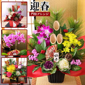 【指定日受付中！】正月飾り 2026 迎春 正月 花 門松 アレンジ 胡蝶蘭 イベントギフトA 生花 お花 年賀 フラワーアレンジメント ギフト 花鉢 部屋 玄関 竹 置物 おしゃれ 水引 メッセージカード 送料無料