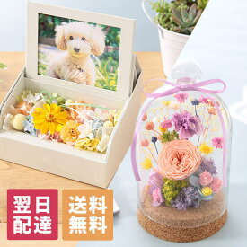 お供え ペット お悔やみ 花 供養 枯れない供花 プリザーブドフォトフレームBOX 送料無料 プリザーブド アレンジ お盆 命日 誕生日 ギフト プレゼント フラワー 供花 仏花 お彼岸 四十九日 虹の橋 洋風 和風 供花 喪中 お見舞い お悔み お仏壇