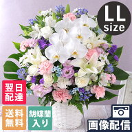 【クーポンで150円OFF！】【最短 翌日届け 14時まで】 お供え お悔やみ 花 旬のおまかせアレンジメント L…