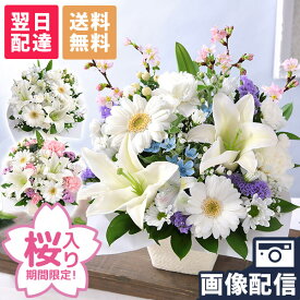 【最短 翌日届け 14時まで】 お供え 花 桜 仏花 供花 お悔やみ 旬のおまかせアレンジメント S フラワー ギフト アレンジ お花 生花 アレンジメント お盆 お彼岸 法要 供養 初盆 命日 お悔み 法事 四十九日 喪中 画像配信