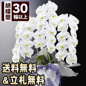 ݉Ԕu֌Ӓ v~AEv 3{ 30ֈȏiڂݍj  R`E     Ԕ   t[ Mtg ފ ~ @v { ~ 