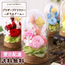 プリザーブドフラワー 花 プリザーブドドーム・チェルシー 送料無料 楽天1位 女性 誕生日プレゼント 誕生日 プレゼント ギフト フラワーケーキ 歓迎 退職 結婚記念日 祝い 送別 出産祝 開店 開店祝 フラワー