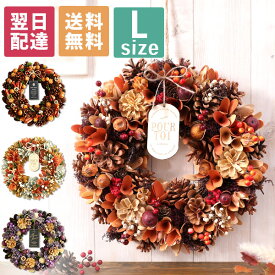【最短翌日届け 14時まで】 リース クリスマスリース ナチュラルリース Lサイズ 送料無料 直径約30cm以上 誕生日プレゼント 誕生日 プレゼント ギフト 玄関 ドア 飾り ウェルカム 造花 ドライフラワー お祝い かわいい