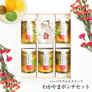 花 ゼリーの人気商品 通販 価格比較 価格 Com
