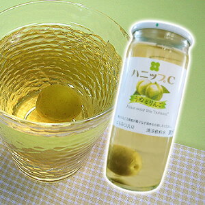 紀州産 ハニップCうめとりんご(200g×15本入) 【送料無料】 りんご果汁とハチミツ入りのさわやかドリンク! 甘酸っぱさが お口の中に広がる 梅の実入りのストレートタイプの梅ジュースで