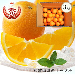 yII3,240~z2026N \Jn a̎RYl[u IW ƒp 3kg (14) 2L`3LTCY̏Gi (kCA) _ňSĂオ蒸l