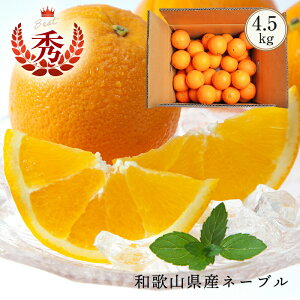 yII4,320~z2026N \Jn a̎RYl[u IW ƒp 4.5kg (21) 2L-3LTCY̏Gi (kCAꏜ) _ňSĂオ蒸l[