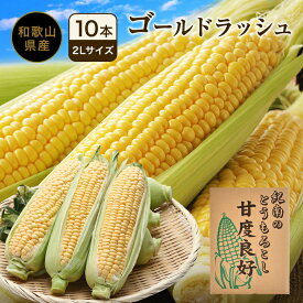 ご予約開始 【値上げ前に！特価価格4,104円。終了後4,320円】和歌山の甘いとうもろこし ゴールドラッシュ 2Lサイズ10本(約4kg)送料無料 和歌山県白浜町産、和歌山県産の減農薬、減化学肥料のこだわりトウモロコシ、高糖度の感動の美味しさを産地直送