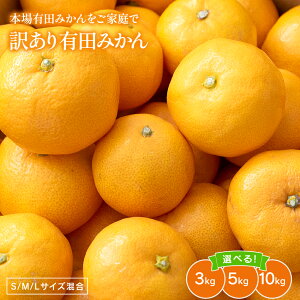 2025N \Jn {Lc݂ƒŎy  ƒpLc݂ S M LTCY 3kgA5kgA10kg