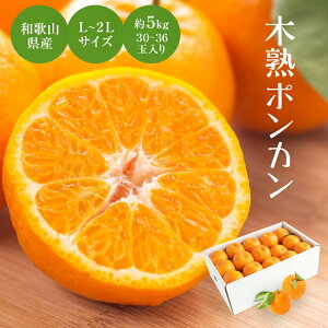 yII4,980~z2026N \Jn a̎RY ؏n|J L-2LTCY 30-36ʓ 5kg  ŊnÂۂ񂩂 VNȂ܂ܗttł͂v܂B݂̂悤