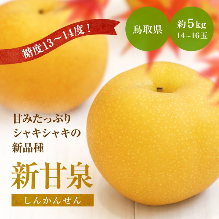 モア様専用 新甘泉 5k16〜18玉 ご家庭用 通販