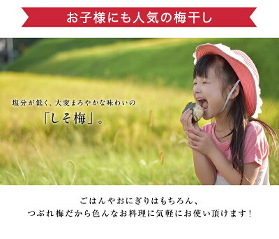 期間限定【20%増量】紀州南高梅低塩つぶれ梅干ししそ梅400g→500gに増量中!(塩分12〜13%)【メディアにも掲載】【4個お買い上げで送料無料】訳ありお買得人気梅干ご家庭用うめぼししそ漬け