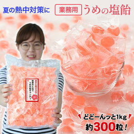 熱中対策・夏バテ対策に効果抜群！熱中飴梅塩飴（梅塩キャンディ）お得な業務用大袋1kg入（1粒4g 約300粒）【3袋で送料無料】梅のクエン酸！体にやさしい塩分補給うめ塩キャンディ 夏バテ防止 ミネラル 暑さ対策 熱中症対策 しおあめ 塩あめ