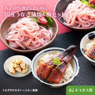 送料無料 国産うなぎ蒲焼カットと選べる梅セット（梅にんにくor梅うどん）【常温・ネコポス便】香ばしい…