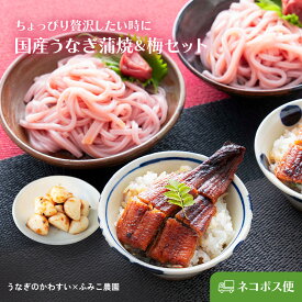 まだ間に合う 父の日 ギフト 2026 送料無料 国産うなぎ蒲焼カットと選べる梅セット（梅にんにくor梅うどん）【常温・ネコポス便】香ばしい鰻に、梅 かつお にんにくの旨みが食欲そそるスタミナ丼セット　梅を練り込んださっぱりうどん