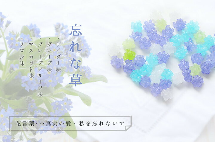 楽天市場 お菓子 子供 プチギフト 退職 退職祝い お礼 感謝 卒業 送別会 大量 プレゼント メッセージ お返し 上司 父 おしゃれメッセージ入り 金平糖 こんぺいとう 50g ガラス瓶入りご挨拶 定年 移動 転職 退職 ほんの気持ちです ありがとうございます お世話になり 楽天市場 お菓子 子供 プチギフト 退職 退職祝い お礼 感謝 卒業 送別会 大量 プレゼント メッセージ お返し 上司 父 おしゃれメッセージ入り 金平糖 こんぺいとう 50g ガラス瓶入りご挨拶 定年 移動 転職 退職 ほんの気持ちです ありがとうございます お世話になり