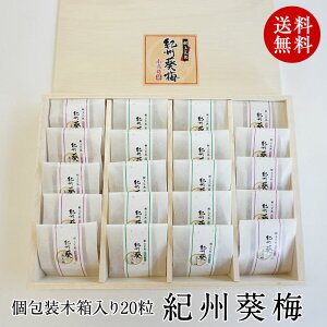 Mtg 蕨 v[g  j j Mtg㊮n썂~ IB~ 20ނ̂y߂ؔMtg