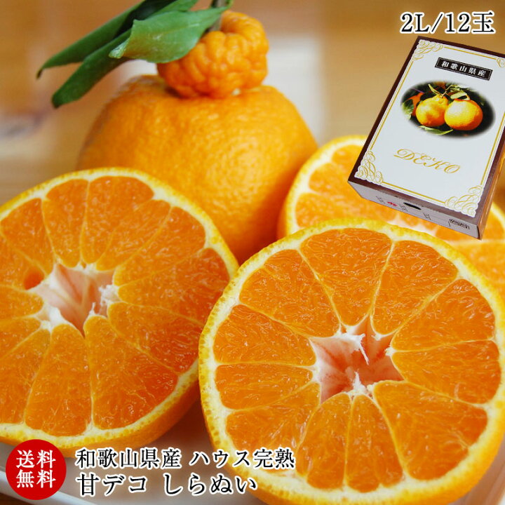 楽天市場 ハウス栽培の完熟デコポン 甘デコ 和歌山県産 送料無料 葉付き手軽な2ｌサイズ12玉入 約3kg 種なし 房ごと食べられる 甘いコクのある 不知火 しらぬい ハウス栽培ならでは美味しさ 独自の有機肥料 除草剤なしで作り上げるこだわり柑橘 ふみこ農園