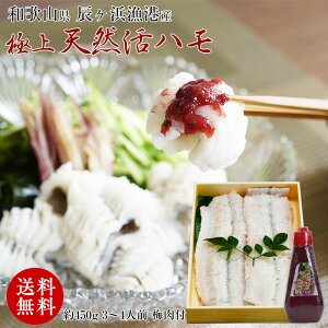 ɏVRinj؂ς݂VNȂ܂ܗⓀŁI Ղ3`4lO 4 450gA`[uቖ썂~170gt a̎R CPl`Iyz ͂̓AnA