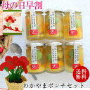 母の日 ギフト 早期予約特典!割引クーポンも♪健康ギフト!わかやまポンチ6個入【送料無料】内祝い 人気商品紀州梅の甘露煮、若桃、温州みかん、はっさくをジュレに閉...