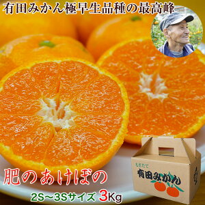 2025年 ご予約開始 有田みかん極早生品種の最高峰! 幻のみかん「肥のあけぼの」2S〜3Sサイズ3kg ギフト 3箱で送料無料※北海道、沖縄除く ちょっとしたお届け物にも重宝の組み立て箱入。 傷