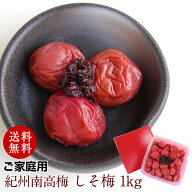 しその香りが食欲をそそる 昔ながらのすっぱい梅干し お徳用紀州南高梅干し しそ漬梅 1kg