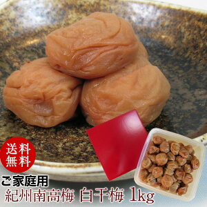 YI썂~ƂŎdグpIB썂~ ~ 1kg