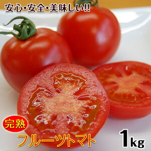 yII3,240~z2026N \Jn t[cg}g1kgij ̗IB ƉpĂ _Ew엿͔|AyɂSSȃg}g ̓xƃR