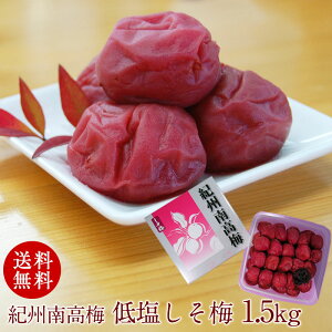 IB썂~ 10 ~Ȃ̂ɒቖdāI 1.5kg 