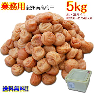 Mtg 蕨 v[g IB썂~Ղ5kg D݂̉A̔~Iт܂B Ɩp~yʉizyz