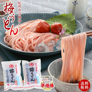送料無料 プチ ギフト ご自宅用に 紀州梅 うどん 4食めんつゆ付 冷やしうどん、かけうどんが選べる 国産小麦使用の冷しうどん【食品ランキング1位獲得】SNS 話題 うどん日本一決定戦全国二