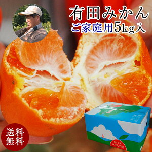 2025N \Jn Lc݂̃gbvuhI 󂠂 nLc~JI  育ƒp 5kg Â݂  󂠂 ʔ B݂ ̔ Lcs a̎R