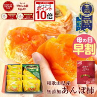 【エントリーでP10倍＋150円引クーポン有★】プレゼント 2025 ドライフルーツ 完全無添加 あんぽ柿 約55g…