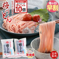 【エントリーでP10倍＋150円引クーポン有★】送料無料 プチ ギフト ご自宅用に 紀州梅 うどん 4食めんつ…