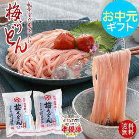 お中元 夏ギフト 中元 御中元 送料無料 プチ ギフト ご自宅用に 紀州梅うどん 4食めんつゆ付 冷やしうどん、かけ うどんが選べる 国産小麦使用の冷しうどん【食品ランキング1位獲得】SNS 話題 うどん日本一決定戦全国二位！ お試し ネコポス