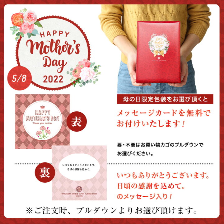 楽天市場 母の日早割５ Offクーポン 母の日 母の日ギフト 母の日プレゼント ランキング 贈り物 ギフト プレゼント 送料無料 スイーツ 誕生日 誕生日プレゼント ランキング ギフト 内祝い お祝い 健康 和菓子 干柿 干し柿無添加 紀州自然菓 あんぽ柿 8個入 640g