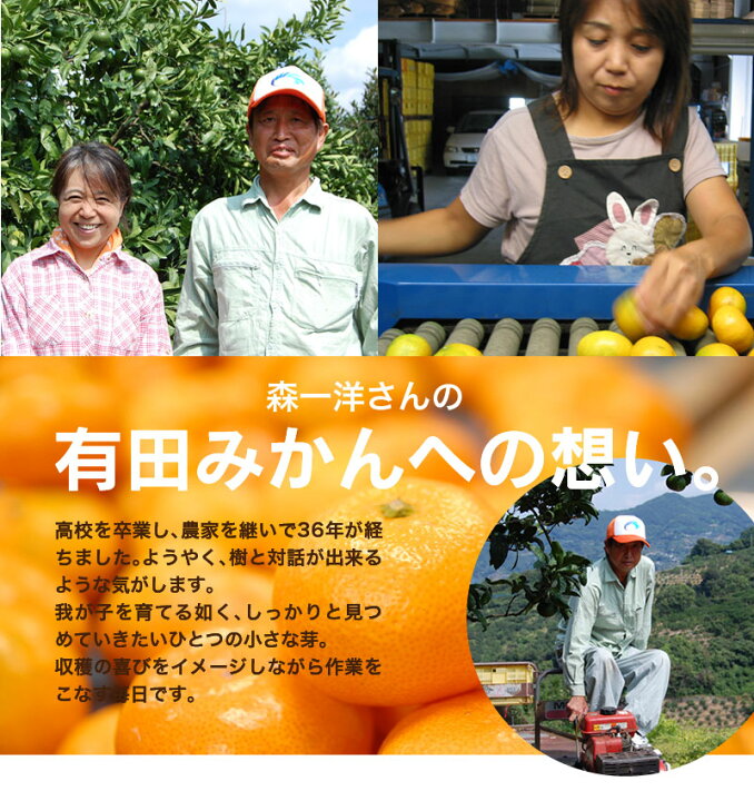 楽天市場】\早割特典 ポイント10倍中/お歳暮 早割 2022 お歳暮ギフト ギフト 高級 送料無料 お年賀 御年賀 人気 おすすめ 人気ランキング豪華 木箱入 完熟有田みかん 50?60玉(約3.3kg入)有田みかん ブランド 完熟みかん 豪華 木箱 贈答 高級感 最高級 蜜柑 ミカン ... 楽天市場】\早割特典 ポイント10倍中/お歳暮 早割 2022 お歳暮ギフト ギフト 高級 送料無料 お年賀 御年賀 人気 おすすめ 人気ランキング豪華 木箱入 完熟有田みかん 50?60玉(約3.3kg入)有田みかん ブランド 完熟みかん 豪華 木箱 贈答 高級感 最高級 蜜柑 ミカン ...