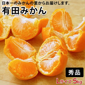 2025N \Jn _AR̃}`͔|ōLc݂ LTCY 5kg ÂĔȏGî݁B~Mtgɂђ閨ł ō ~O ƒp Lc݂ 