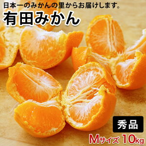 2025N \Jn _AR̃}`͔|ōLc݂ MTCY 10kg ÂĔȏGî݁B~Mtgɂђ閨ł ō ~O ƒp Lc݂ 