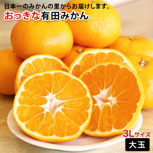 2025N \Jn ƒp Lc݂  ݂ 3LTCY  (4.5kgj B݂ n݂ H׉Ղ̑傫݂